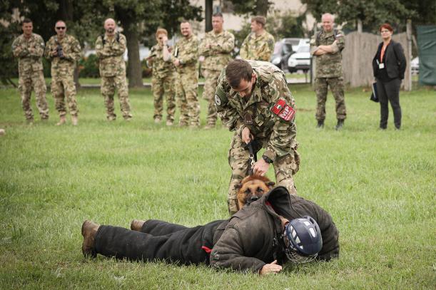 Medical professionals visited the dog patrol unit